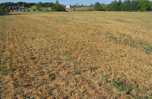 Property photo 39 - 21 Acre Modern Country Estate